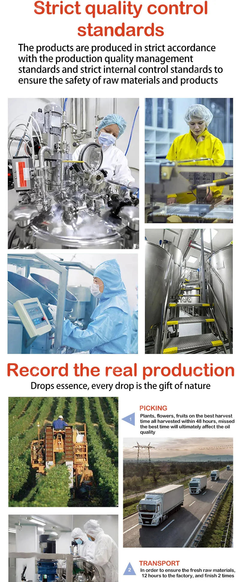 Pore Shrinking Face Serum – Tightening & Minimizing