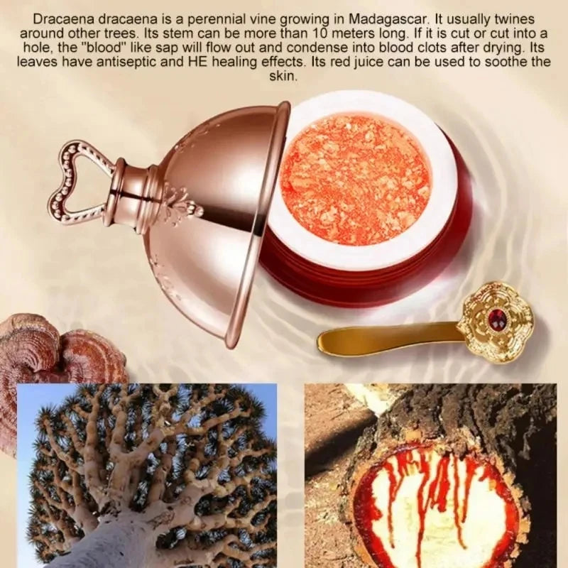 Dragon’s Blood Face Cream – Retinol & Placenta Essence